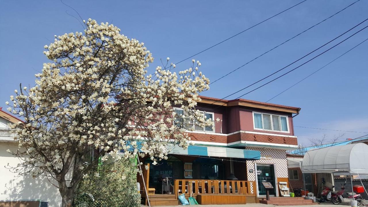 The Guesthouse Dmz Stay Паджу Екстериор снимка